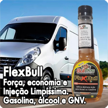 Flex Bull